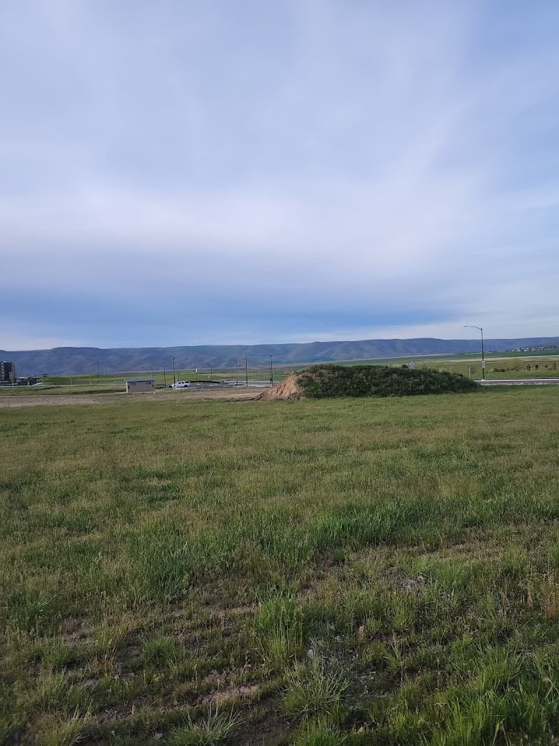 Photo by Brent Gifford (Google)