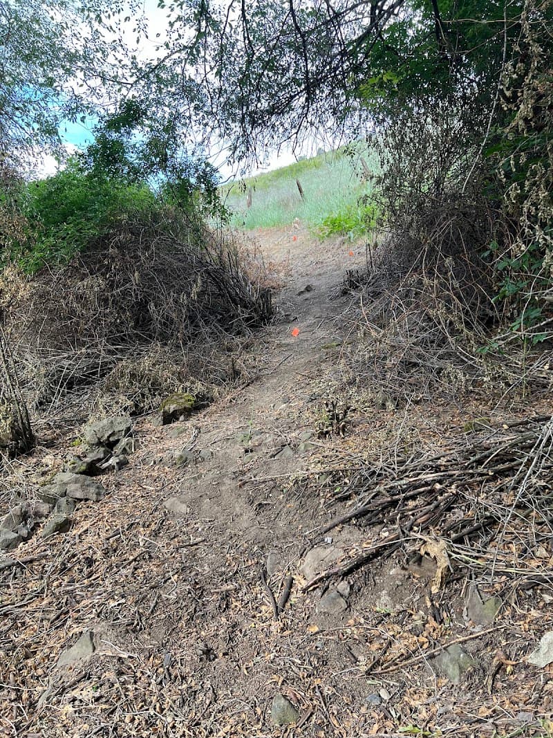 Lewiston Community Park