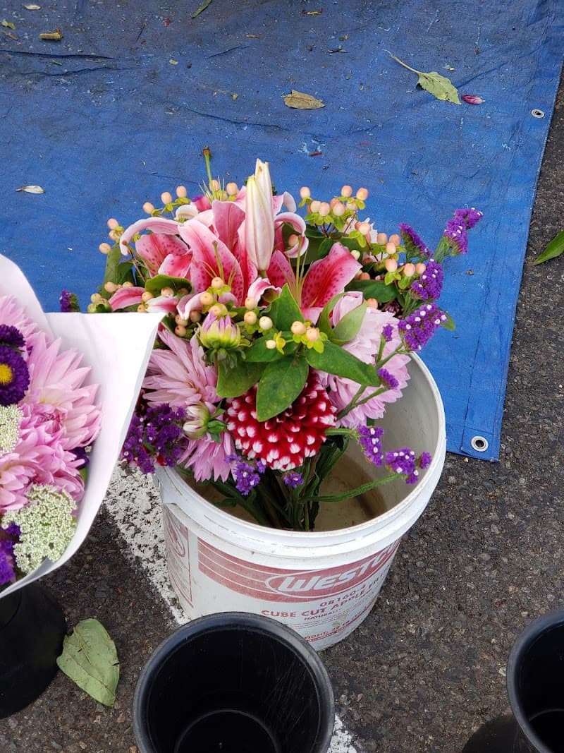 Photo by •**• “Squirrel” ••**•• (Google)