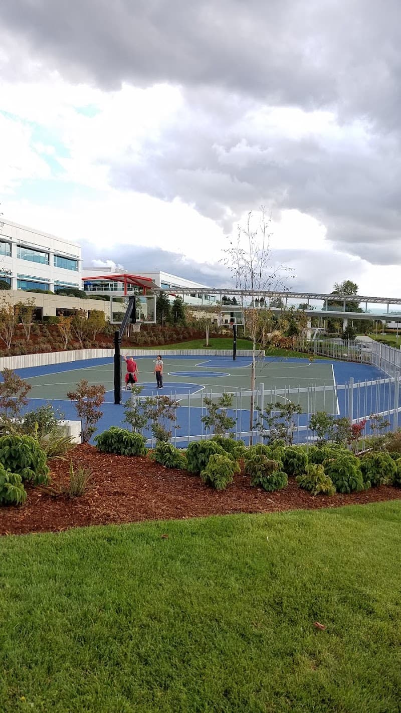 Photo by P D (Google)