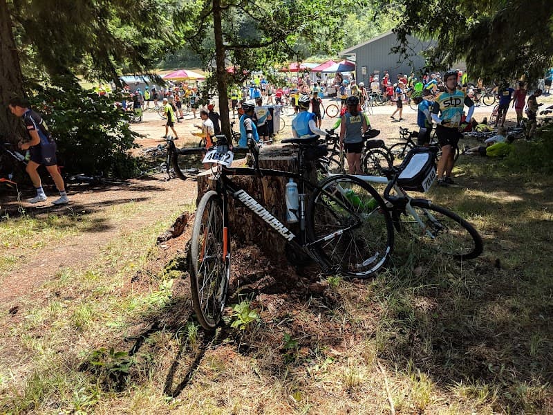 Photo by Shanmugam Sriraman (Google)