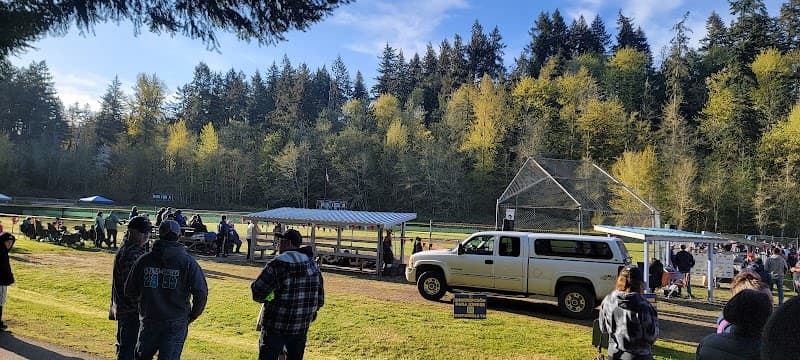 Photo by Lewis Zipperer (Google)