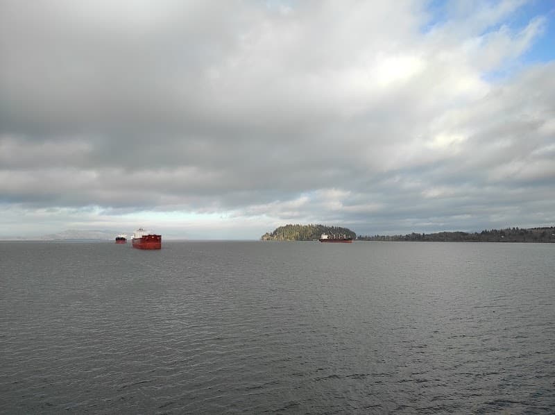 Photo by samiulhaq alif (Google)