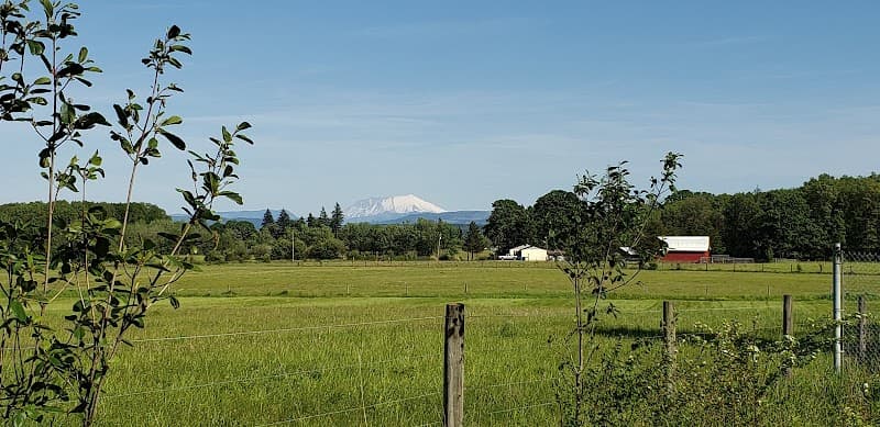 Photo by Robert Otero (Google)