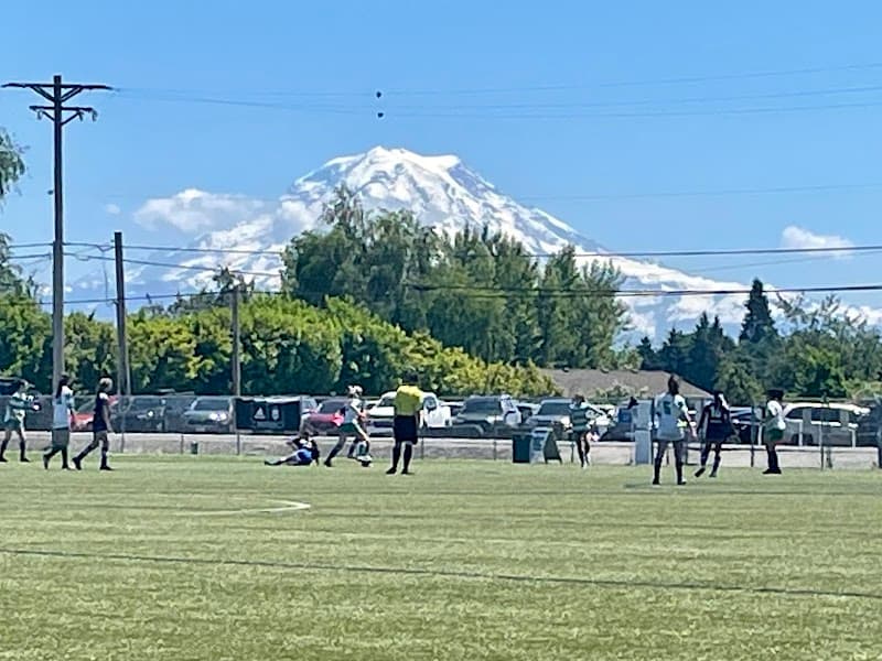 Photo by CS McNulty (Google)