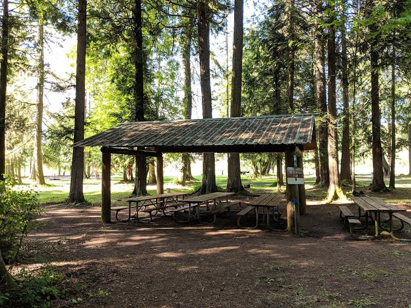 Photo by Noah W (Google)