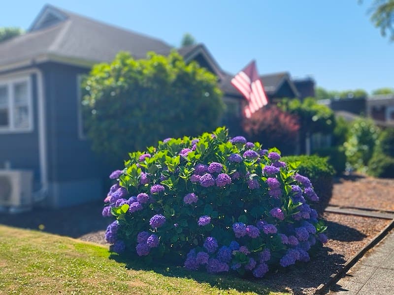 Photo by Louie III (Google)