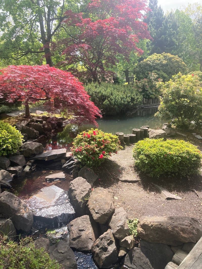 Photo by Marina Shaffer PNW (Google)