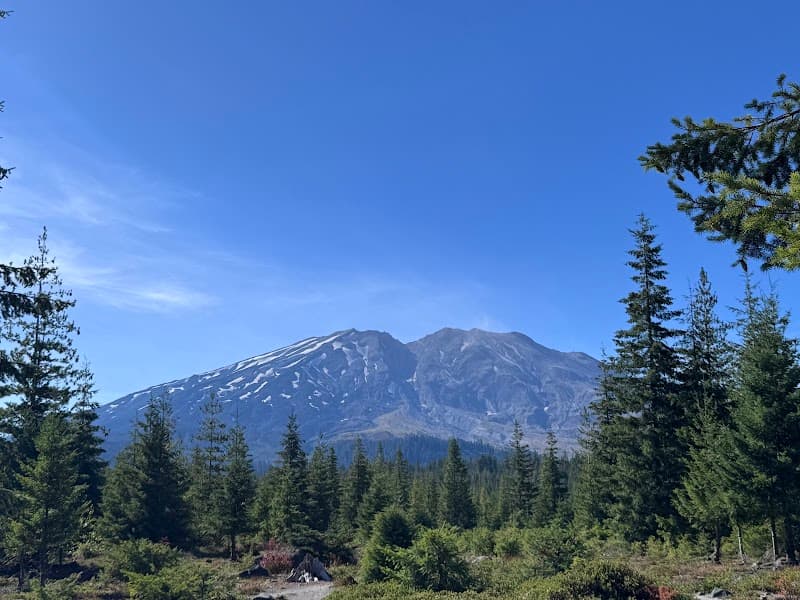 Photo by Business reviews (Google)