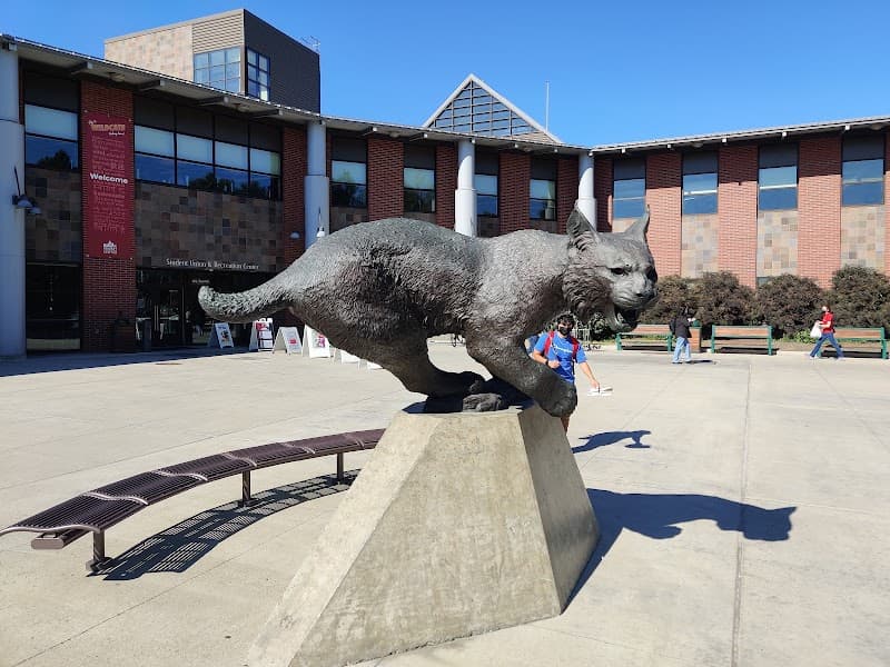 Photo by David Grant (Google)