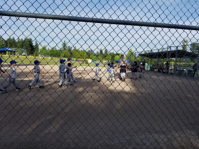 Photo by Marcus Hancuff (Google)