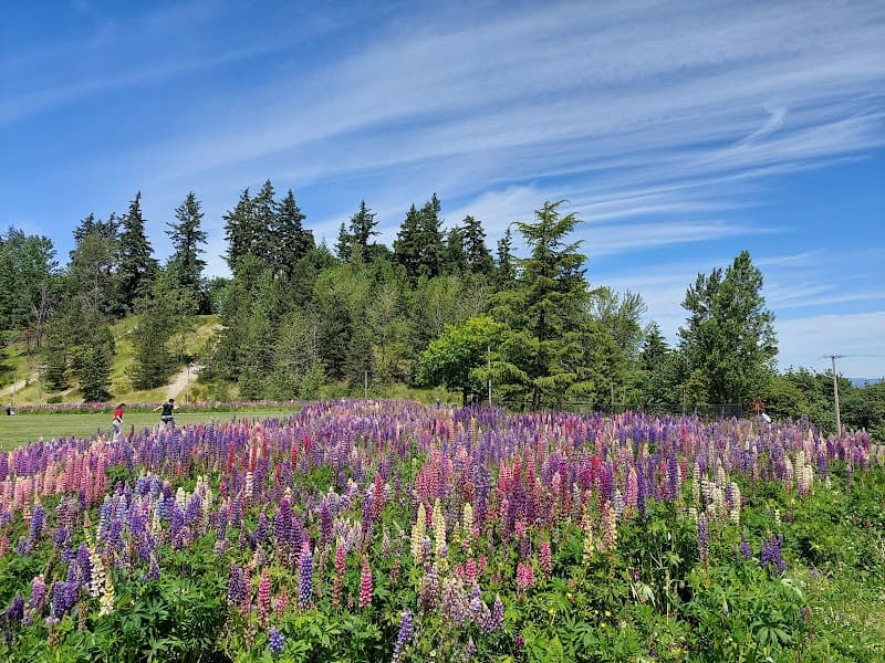 Photo by Erin Story (Google)