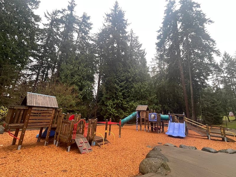 Photo by Sofya Shinkareva (Google)