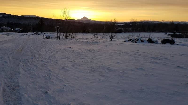 Photo by George Dreger (Google)