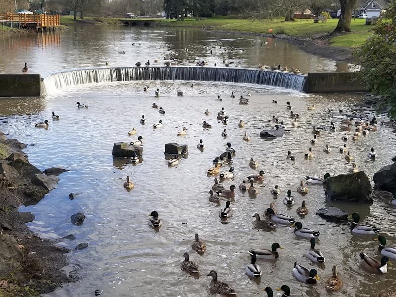 Photo by Alec Womack (Google)