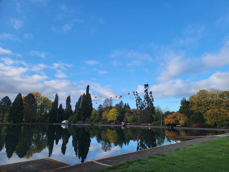 Photo by Alex Ellefson (Google)