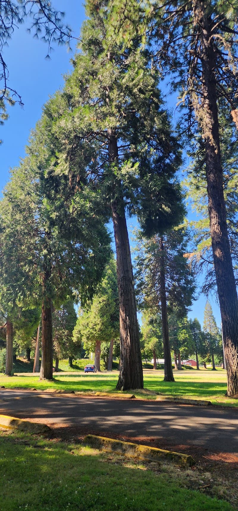 Photo by CrazyOld Pops (Google)