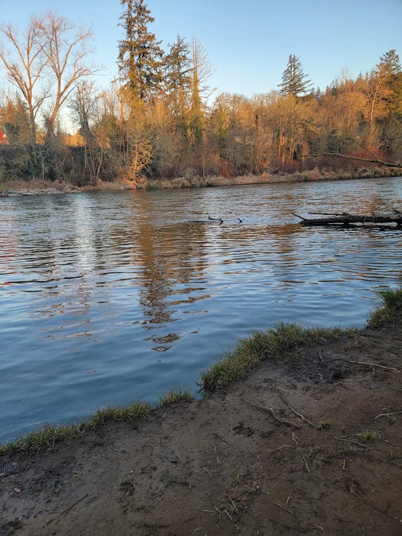 Photo by Heather Weakley (Google)