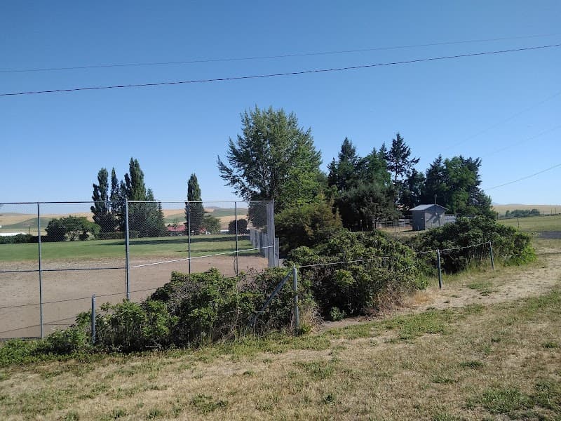 Photo by The Dragon Vee (Google)