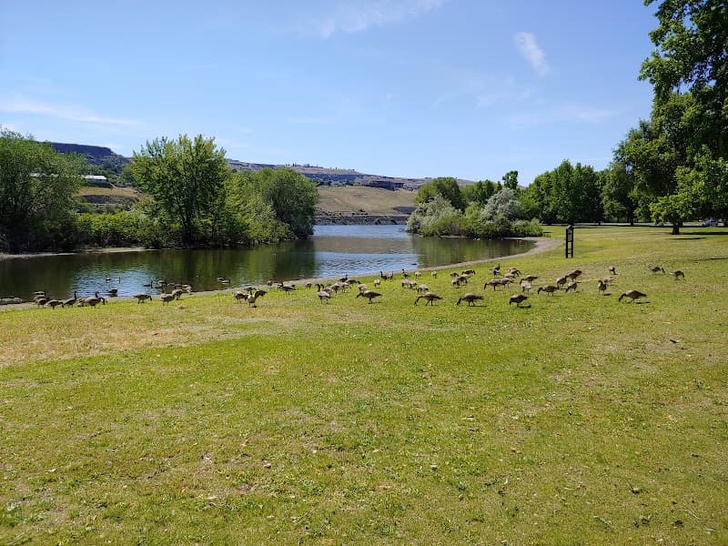 Photo by Bryan Hermans (Google)