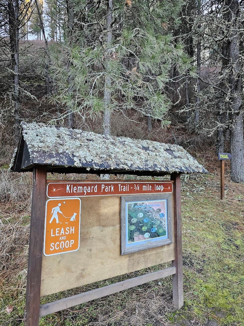 Photo by Shubhankar sircar (Google)