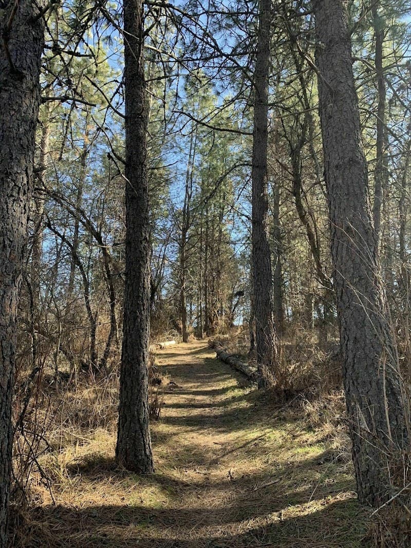 Klemgard County Park