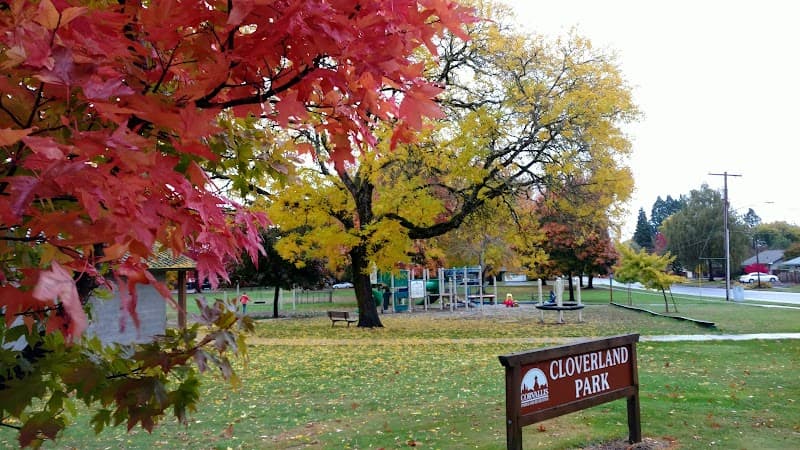 Photo by Irina Lisenkova (Google)