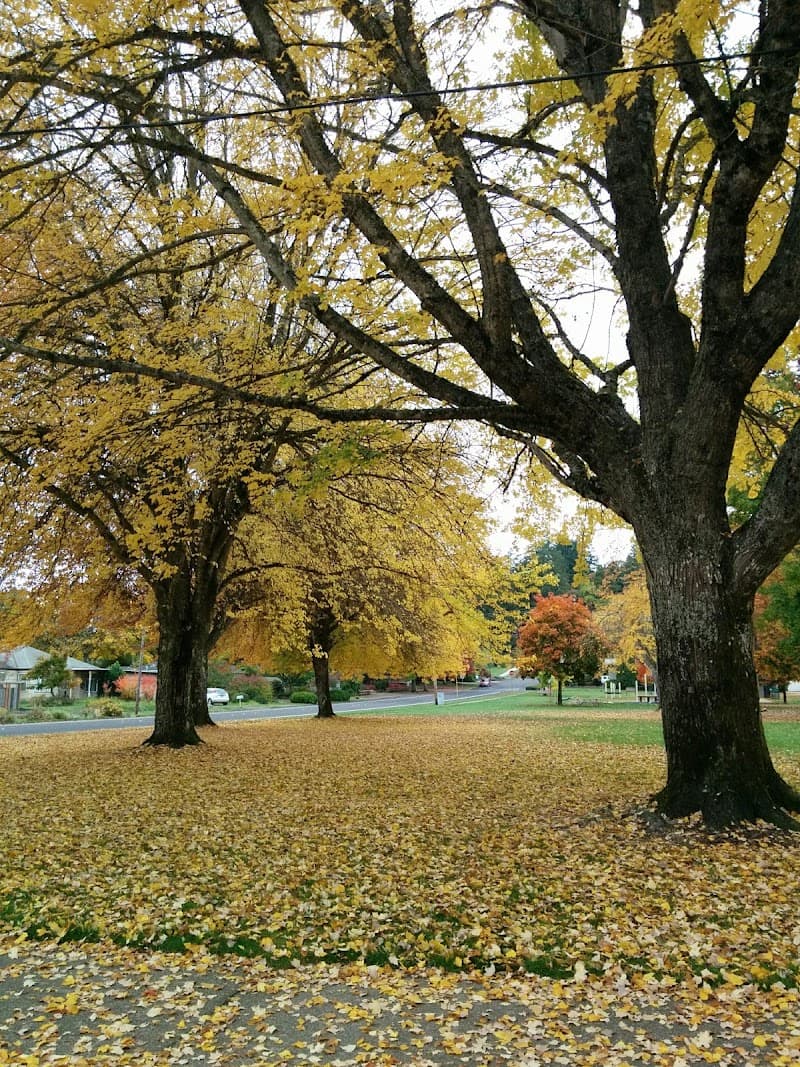 Cloverland City Park