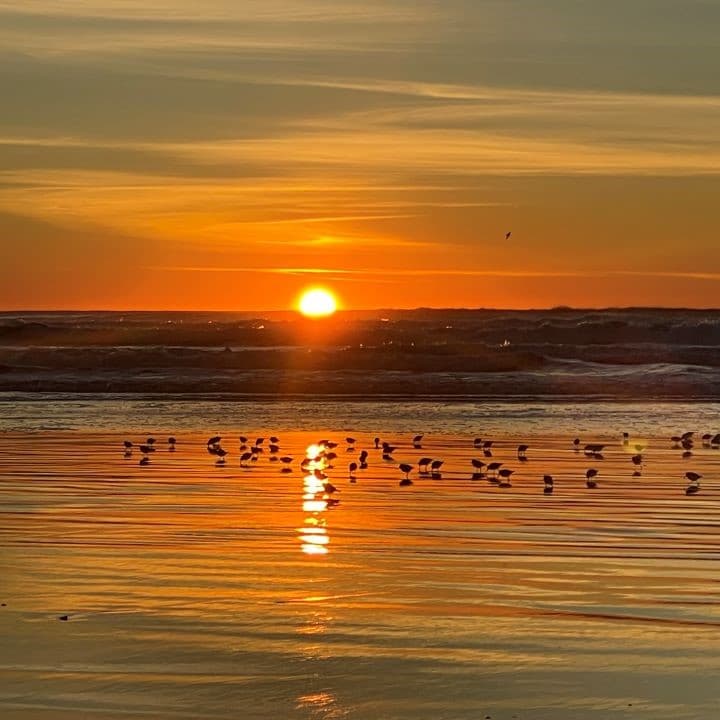 Photo by Ocean Park Camp & Retreat Center (Google)