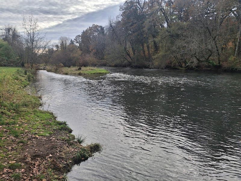 Photo by Amy Toornstra (Google)