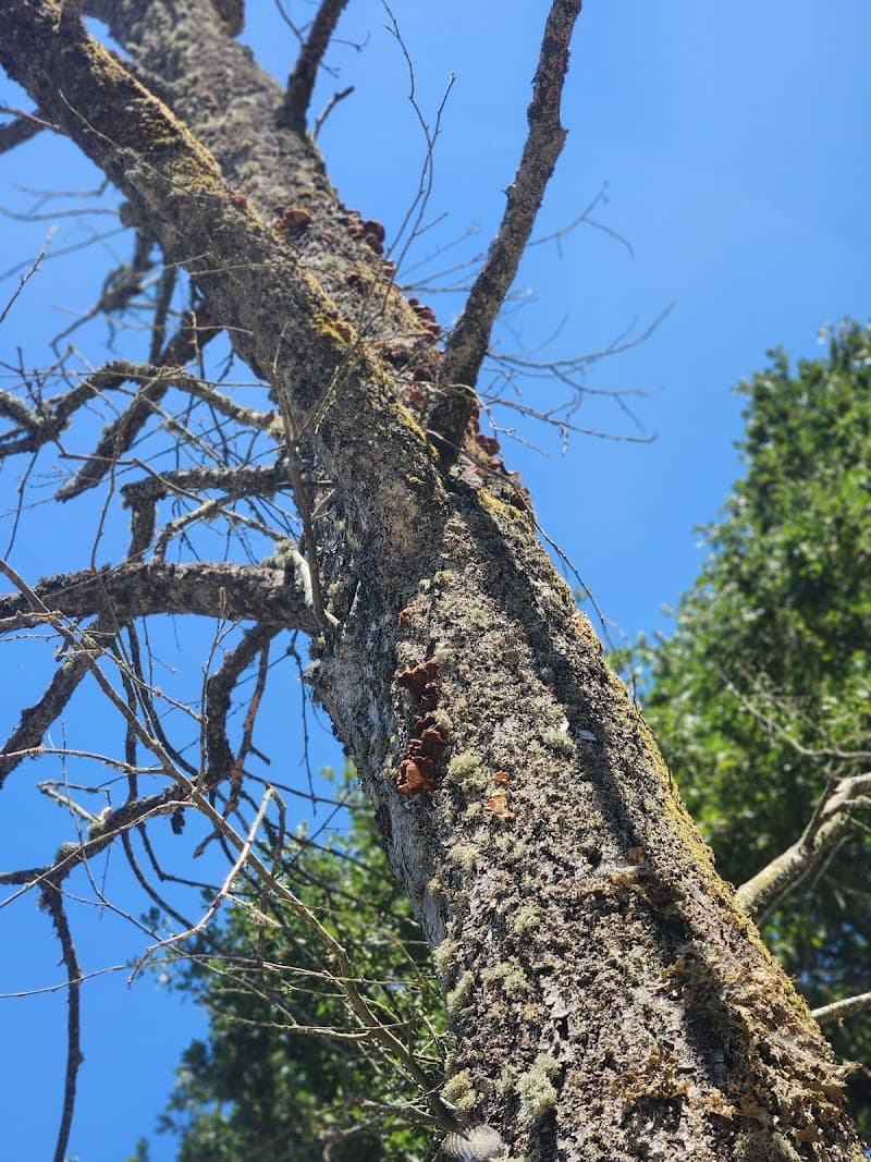 Photo by Jaime MacLoflin (Google)