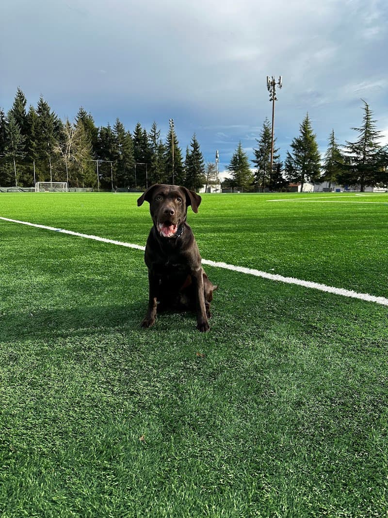 Photo by amerina gotcher (Google)