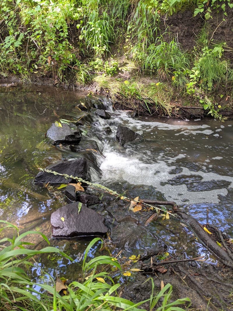 Photo by Brandon Pavloski (Google)