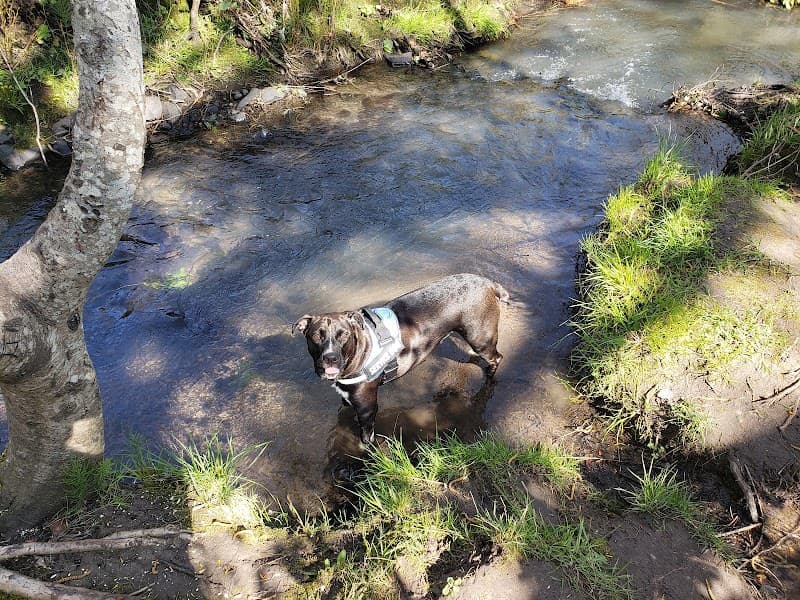 Photo by Nick boone (Google)