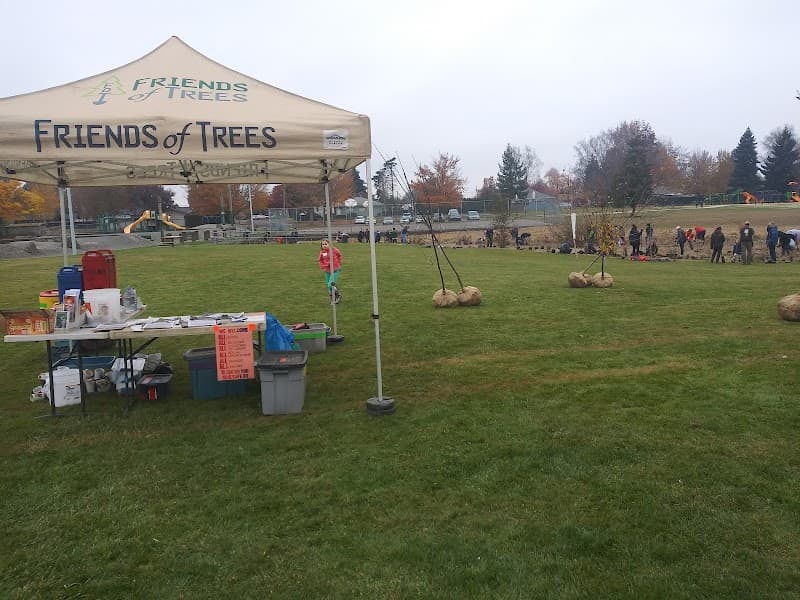 Photo by Carolina Mendoza (Google)