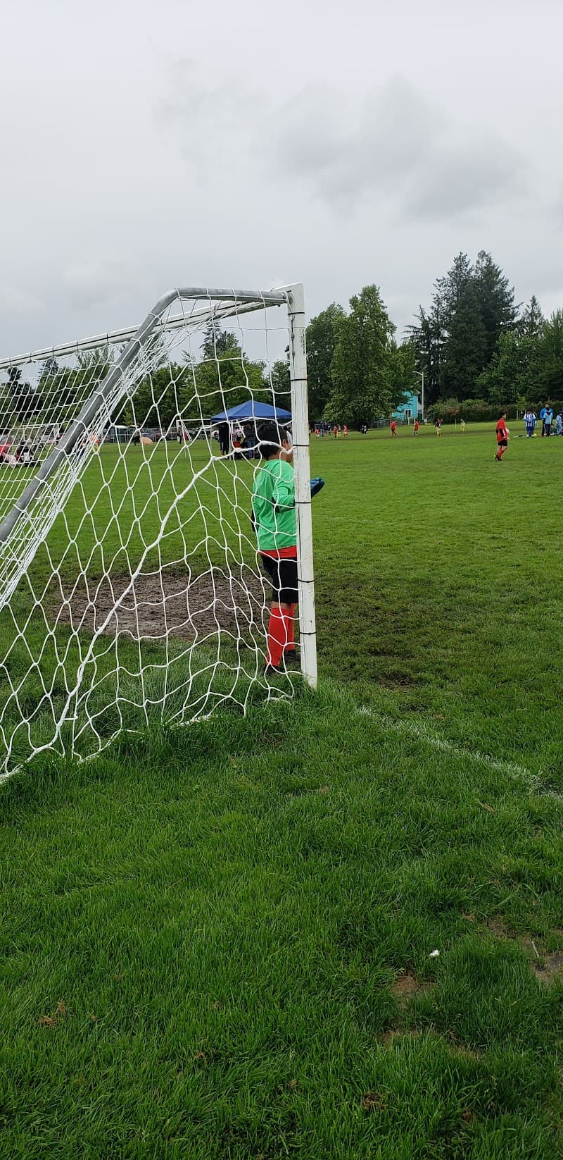 Photo by Romart Mtzald (Google)