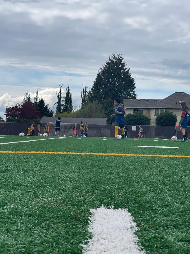 Photo by Wendwesen Abera (Google)