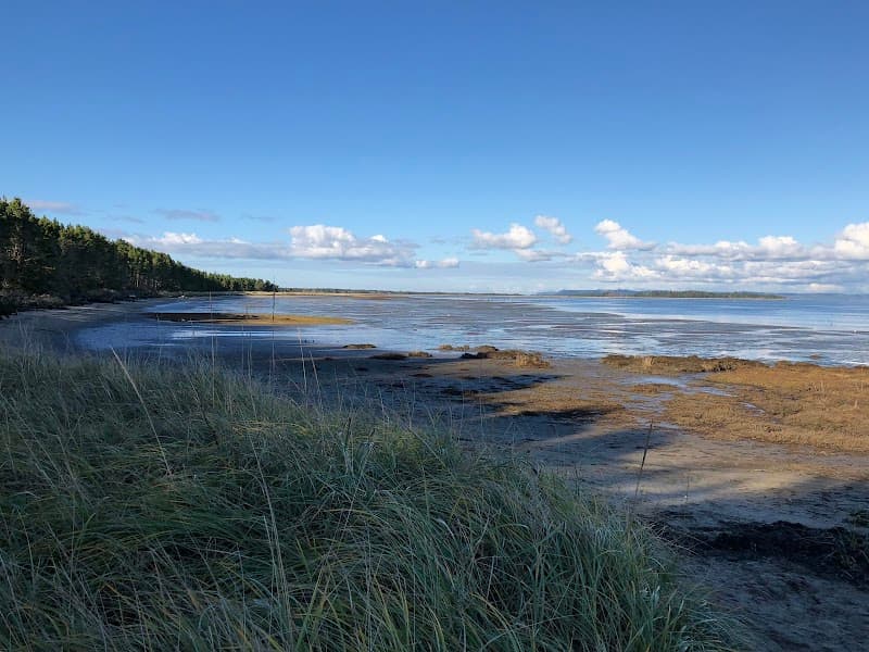 Photo by Cliff Truesdell (Google)