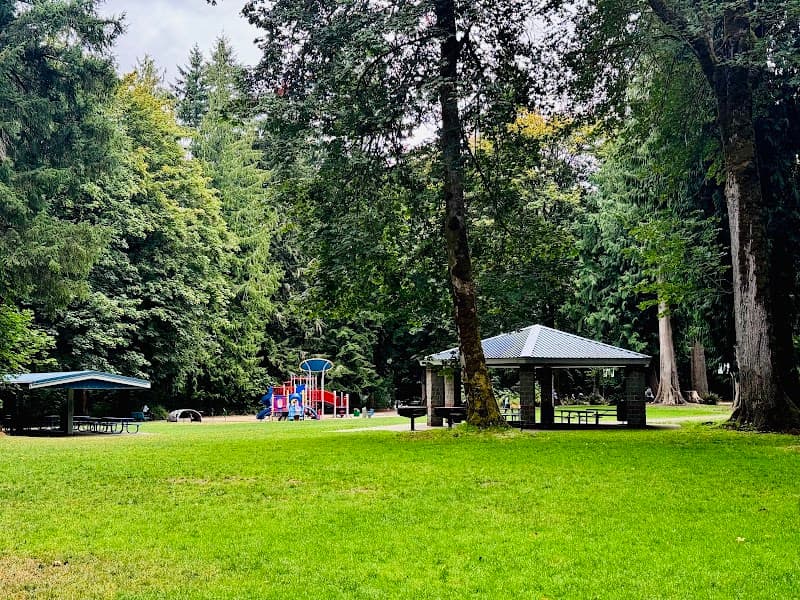 Photo by Olivia (Google)