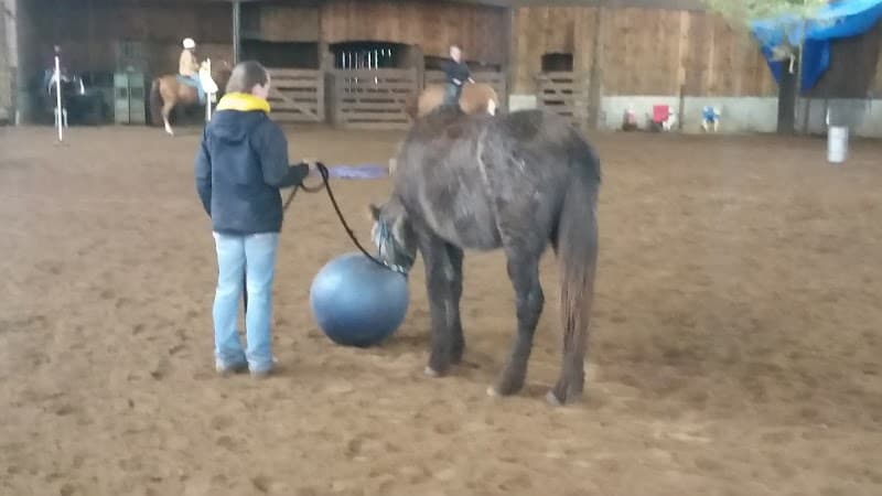 Photo by Annette Hamilton (Google)