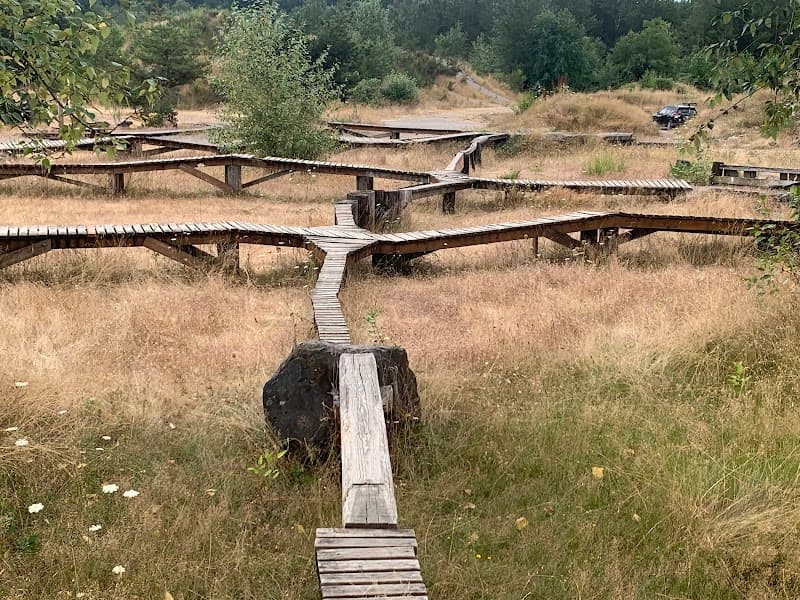 Photo by T. Volk (Google)