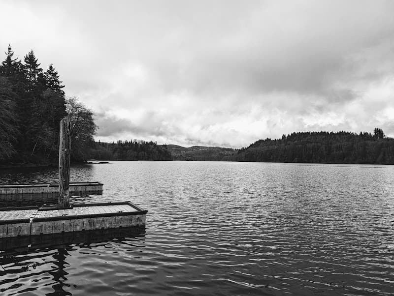 Photo by Amanda Schneider (Google)