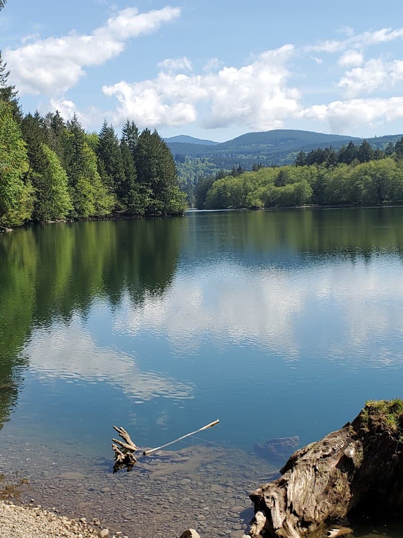 Photo by Mau Quesada (Google)