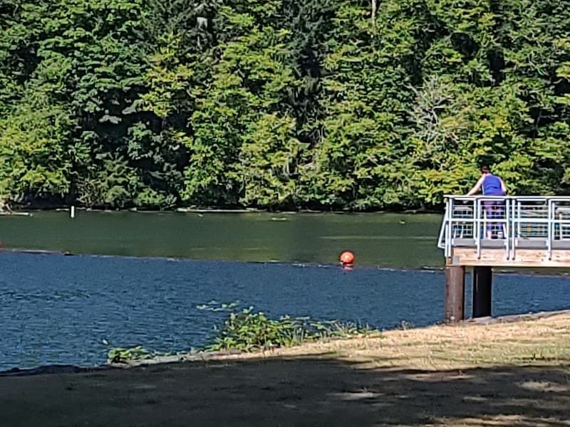 Photo by Sean Parrett (Google)