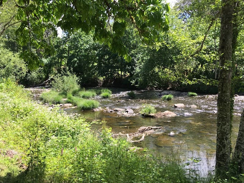 Photo by Molly Hodge (Google)