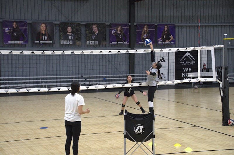 Photo by Saphal Heng (Google)