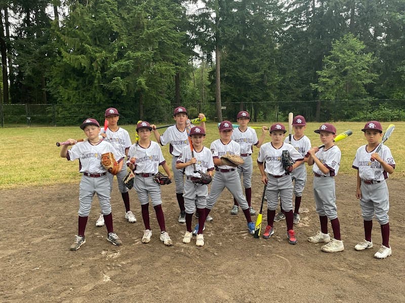 South Hill Little League