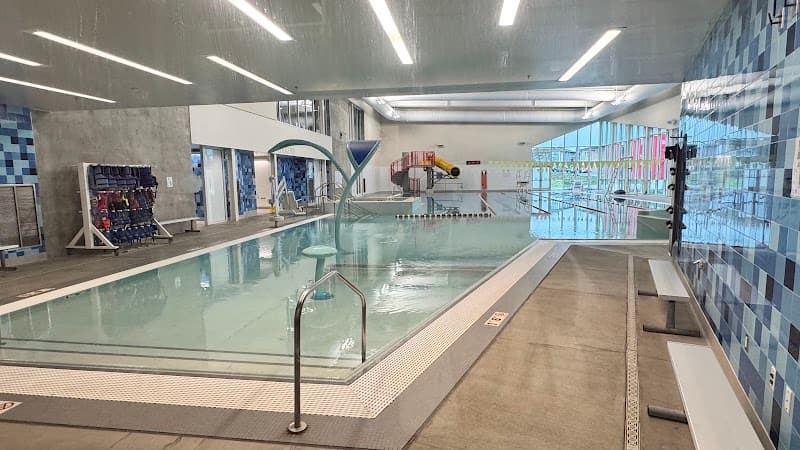 Photo by Olha suslikova (Google)