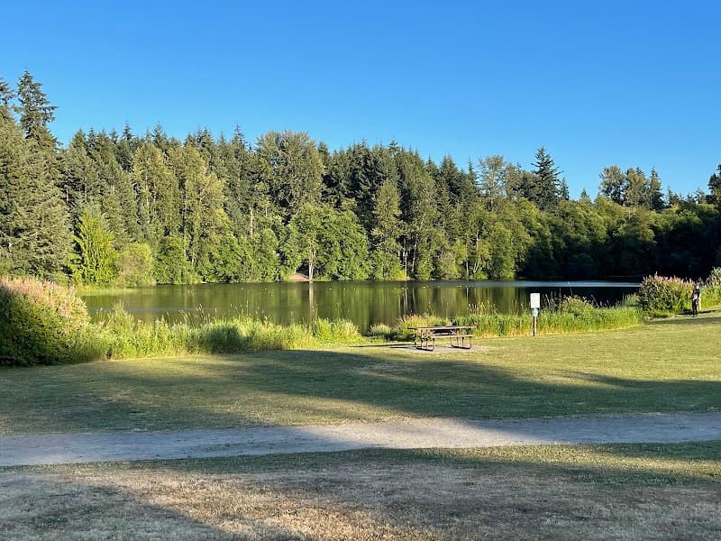 Photo by ELSIE (Google)