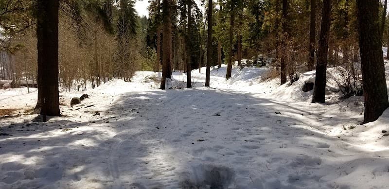 Photo by Carol Rains (Google)